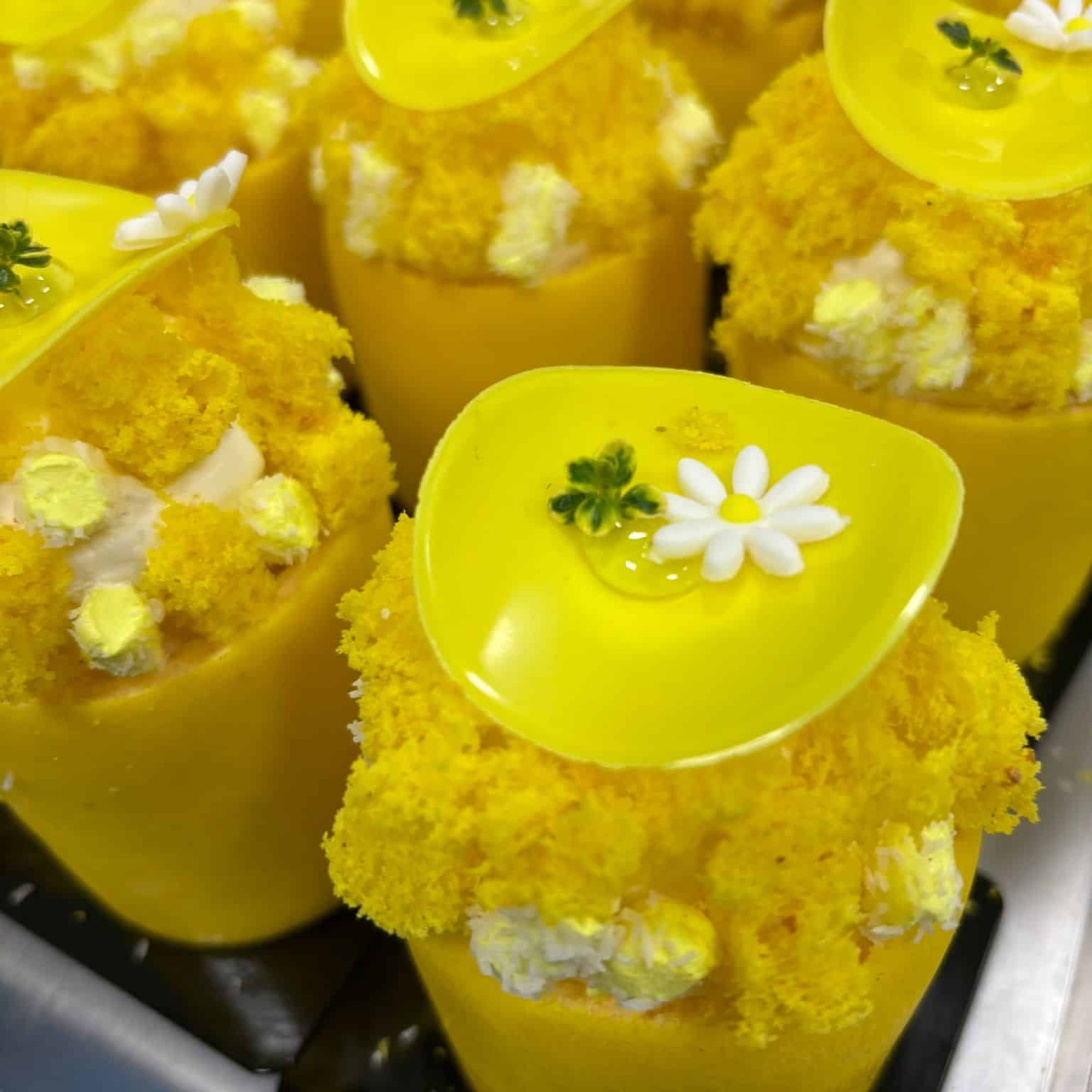 tortini-mimosa
